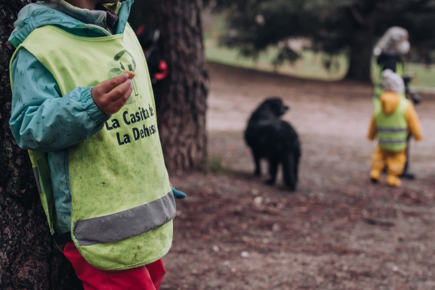 Niños en La Casita de la Dehesa