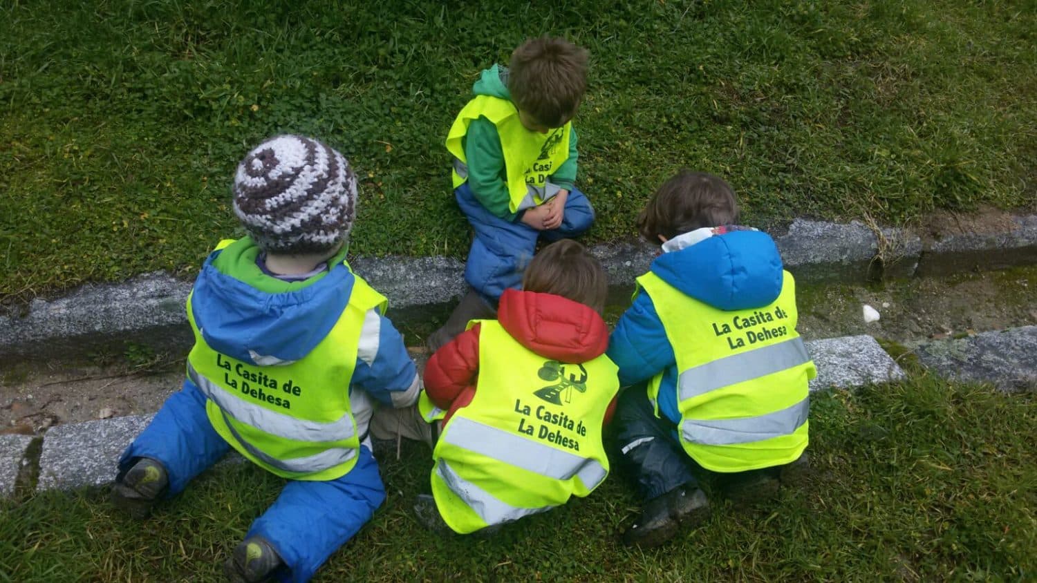 Niños jugando en la naturaleza